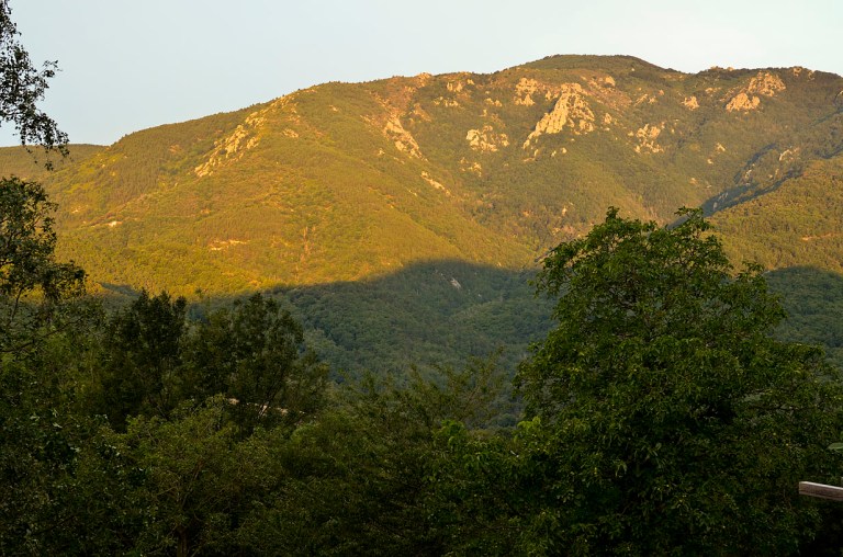 View from our bedroom window the morning after we arrived.