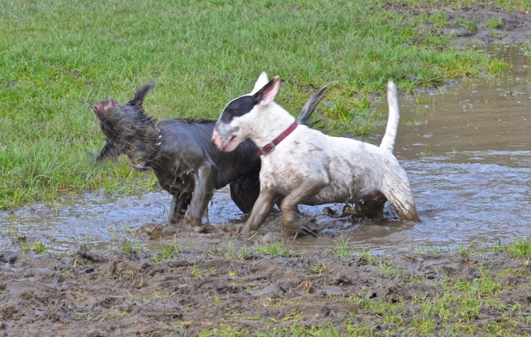 A question of manners